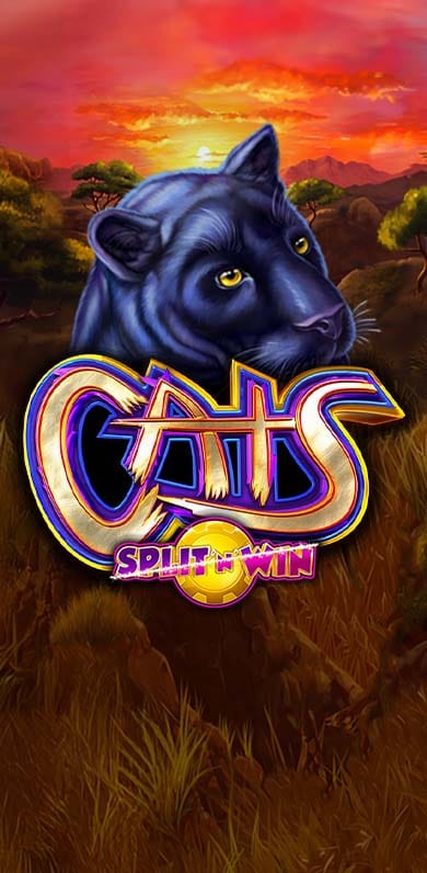 Cats Split 'N' Win in oy_onestowatch