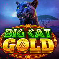 Big Cat Gold in Most Popular