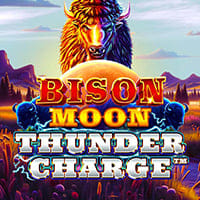 Bison Moon: Thunder Charge in party_slots_new
