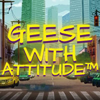 Geese with Attitude in Best Of The Rest