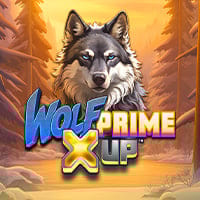 Wolf Prime X UP in Most Popular