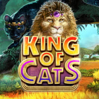 King Of Cats in Most Popular