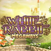 White Rabbit in Most Popular