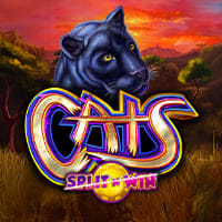Cats Split 'N' Win in All Slots