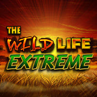 The Wild Life Extreme in Best Of The Rest