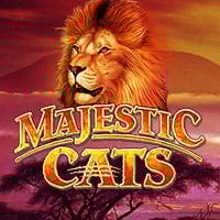 Majestic Cats in Most Popular