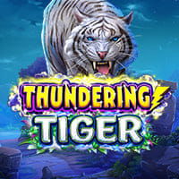 Thundering Tiger in Best Of The Rest