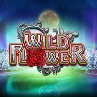 Wild Flower in Most Popular