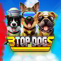 3 Top Dogs in Best Of The Rest