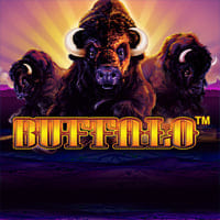 Buffalo in Most Popular