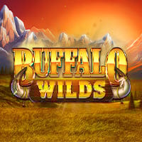 Buffalo Wilds in Best Of The Rest