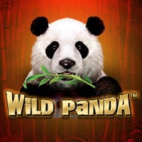 Wild Panda in Best Of The Rest