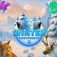 Winter Footprints in Best Of The Rest