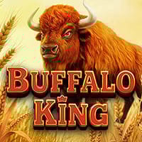 Buffalo King in Best Of The Rest