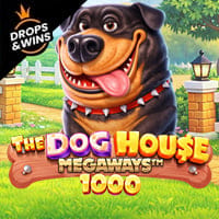 The Dog House Megaways 1000 in oy_trendingnow