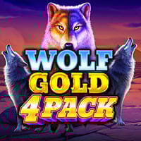 Wolf Gold 4 Pack in Best Of The Rest