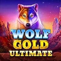 Wolf Gold Ultimate in Best Of The Rest