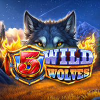 5 Wild Wolves in Most Popular