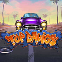 Top Dawgs in Best Of The Rest