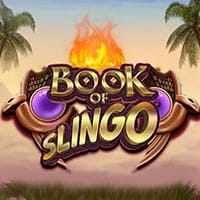 Book of Slingo in Best Of The Rest