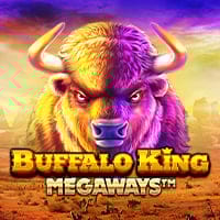 Buffalo King Megaways in oy_pragmatic
